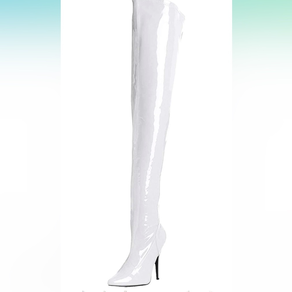 Pleaser Women's Domina-3000 Boot